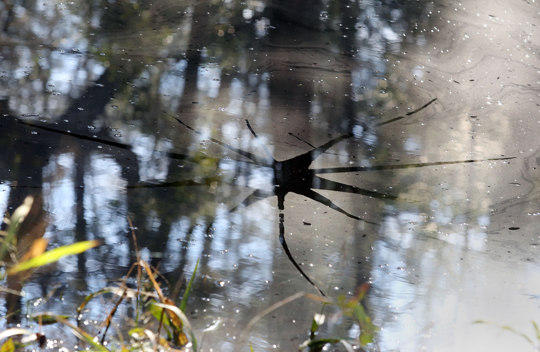 Clean Water Act